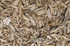 biomass boilers Gellilydan