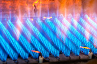 Gellilydan gas fired boilers